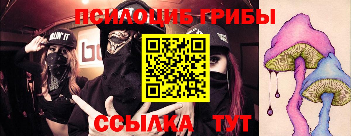Галлюциногенные грибы Psilocybe Ногинск